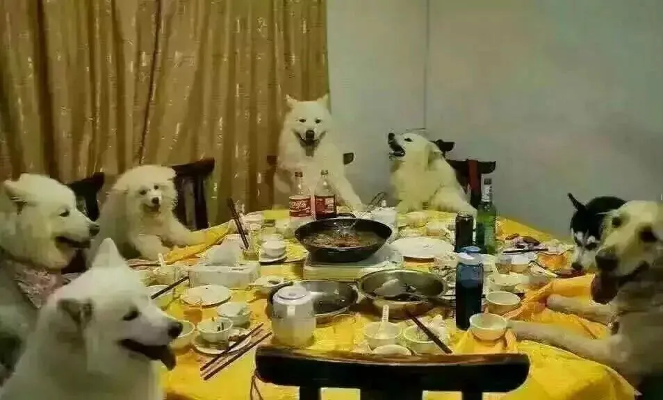 表哥